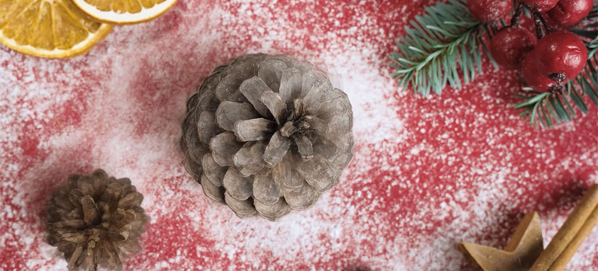 Cinematic Christmas B ROLL