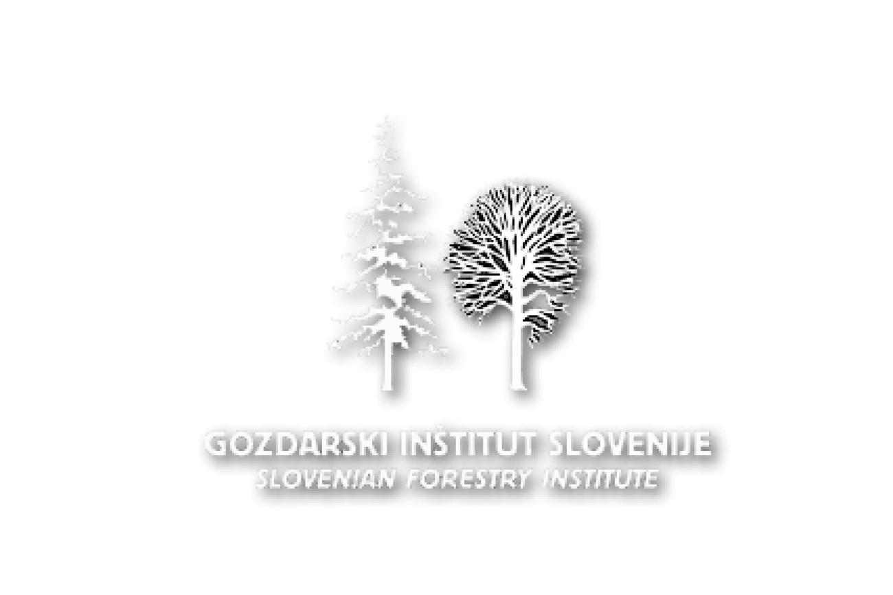 Snemanje vsebin za gozdarski inštitut v Sloveniji in na Švedskem.